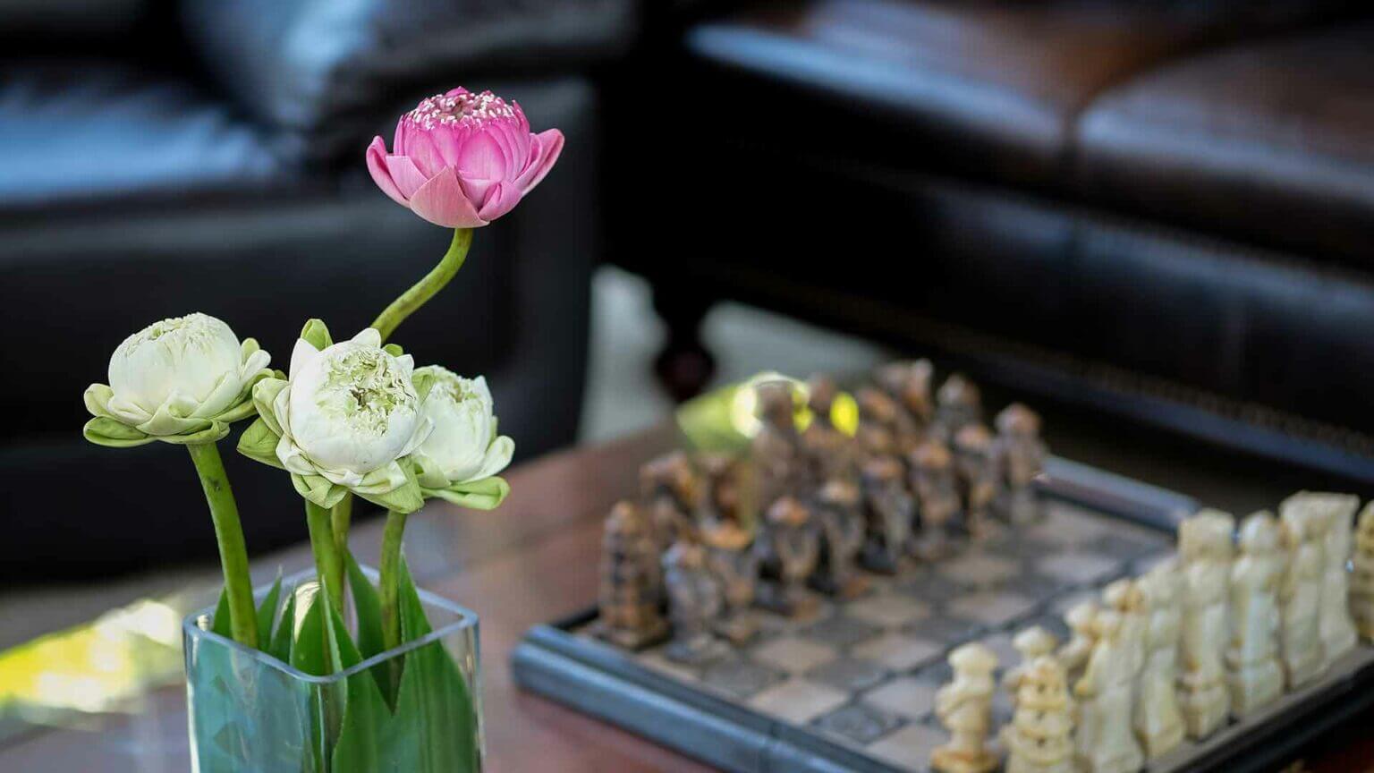 Our Facilities - Chess Board